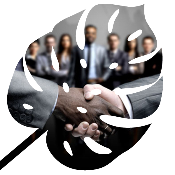 international exco Senegal